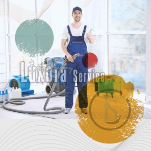 Luxora Service carpet cleaner